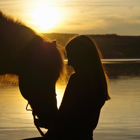 Gestüt Nahetal Islandpferde Bostalsee