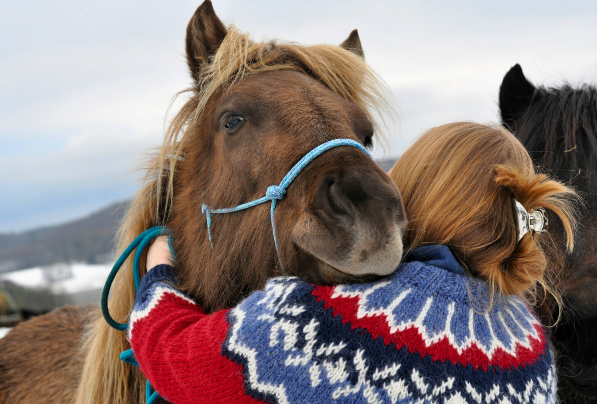 Junge Frau umarmt ihr Islandpferd im Winter auf dem Gestüt Nahetal am Bostalsee