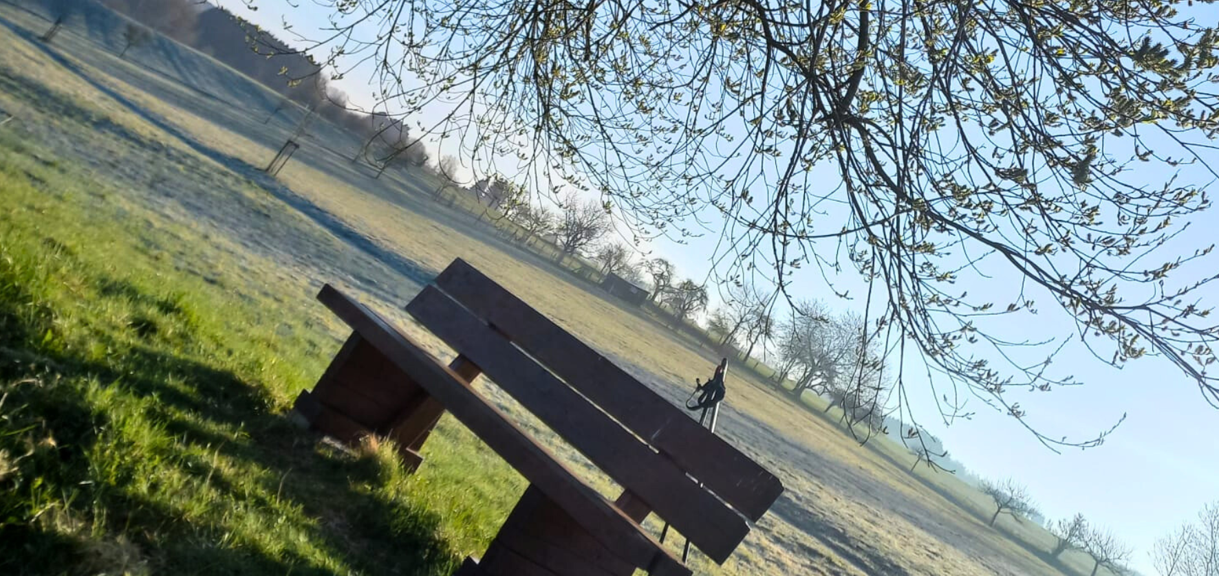 Bank im Vorfrühling am Bostalsee im leichten Morgennebel nahe der Ferienwohnungen Schwarzhof