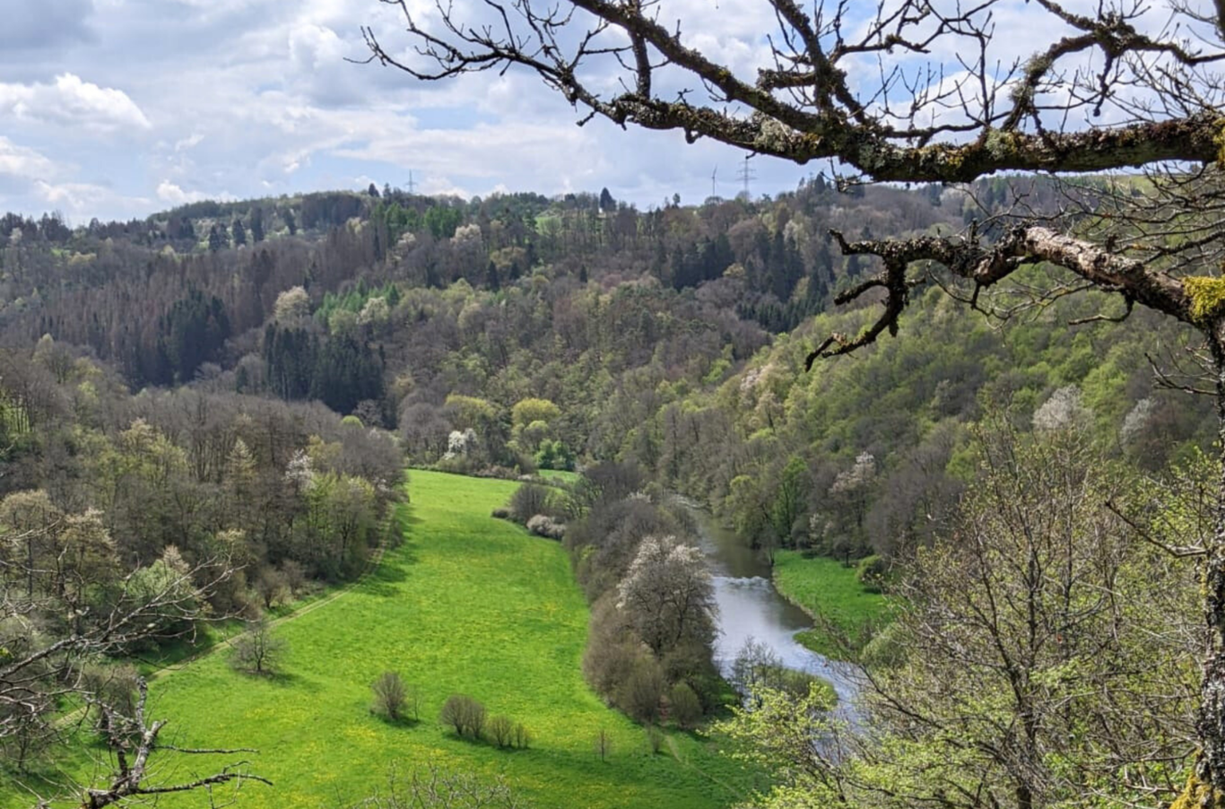 Nahe-Premiumweg bei Nohen im Frühling mit Blick ins Nahetal