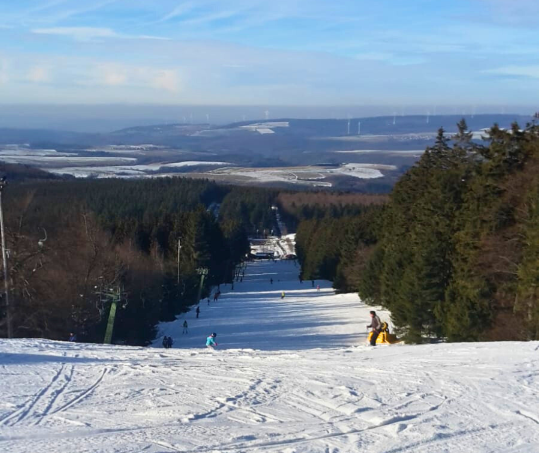 Herbstlicher Wald am Bostalsee spiegelt sich in goldenen Farben im Wasser.