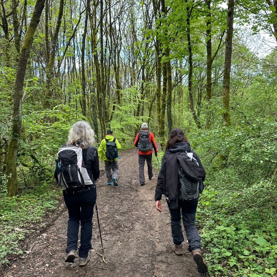 Wanderweg im Naturpark Saar-Hunsrück direkt ab der Haustür der Ferienwohnungen Schwarzhof am Waldrand.