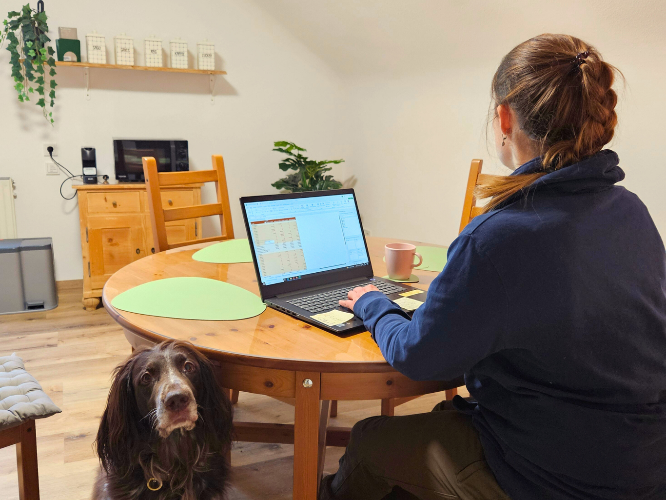 Arbeiten mit Hund in der Ferienwohnung Schwarzhof am Bostalsee