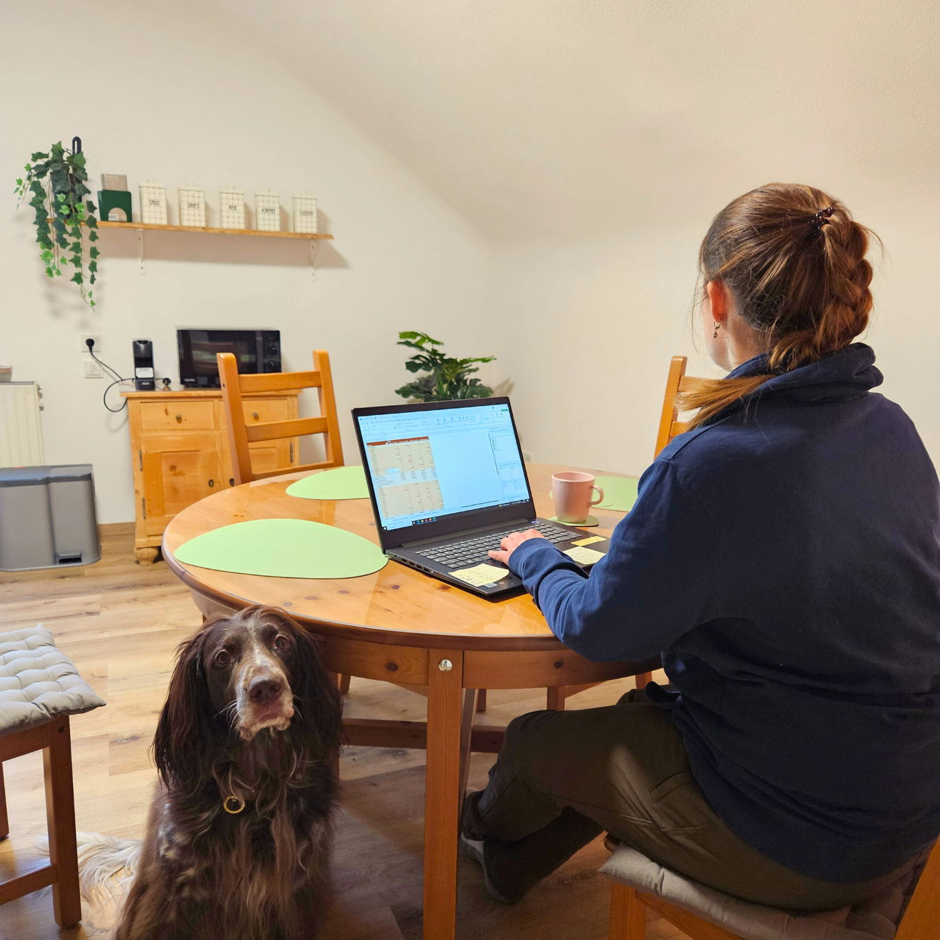 Arbeiten mit Hund in der Ferienwohnung Schwarzhof am Bostalsee