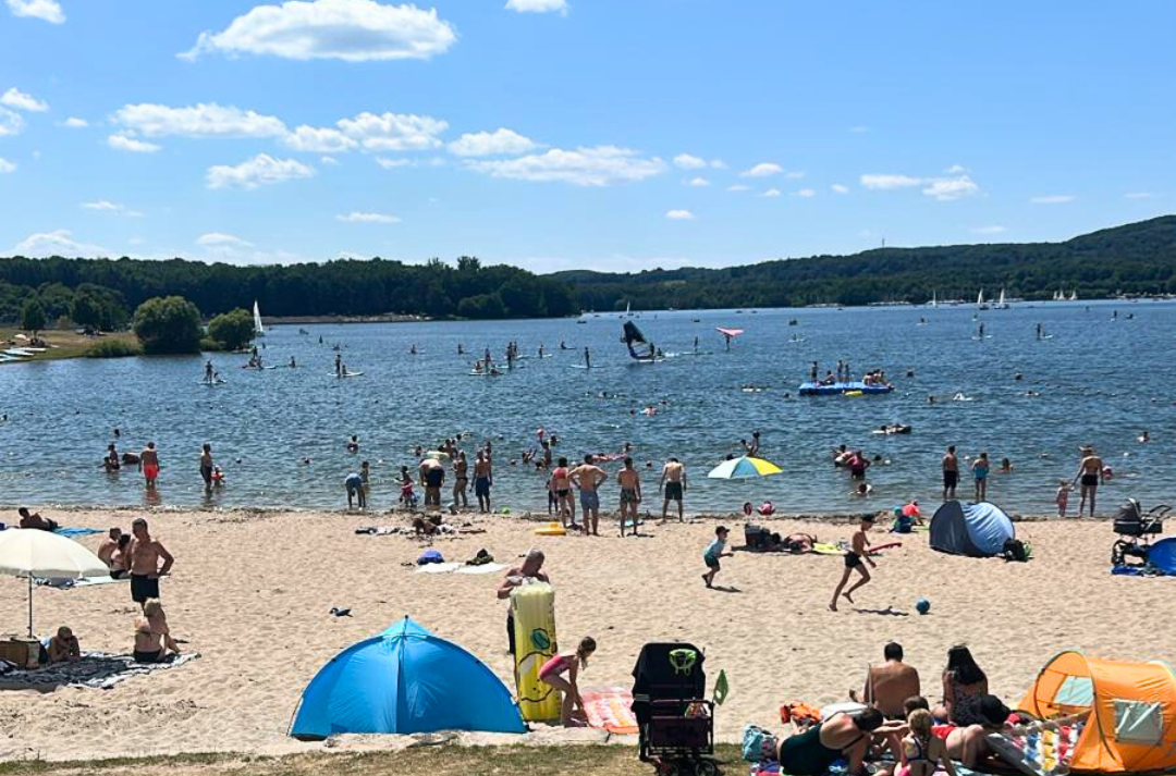 Deutsch-Langhaar-Hündin Yumi am Bostalsee bei Sonnenuntergang nahe den Ferienwohnungen Schwarzhof