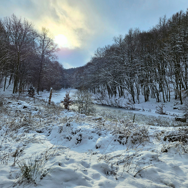 Ferienwohnungen Schwarzhof Bostalsee – Winterspaziergang im Schnee rund um die Ferienwohnungen, Blick auf Weiher