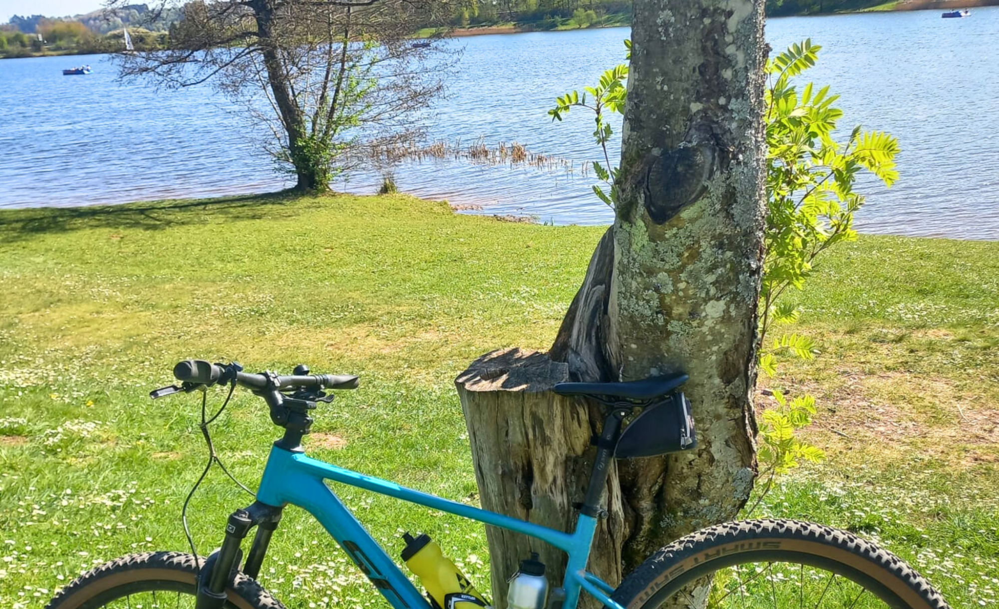 Radfahren am Bostalsee im Frühling, Waldrand und See im Hintergrund