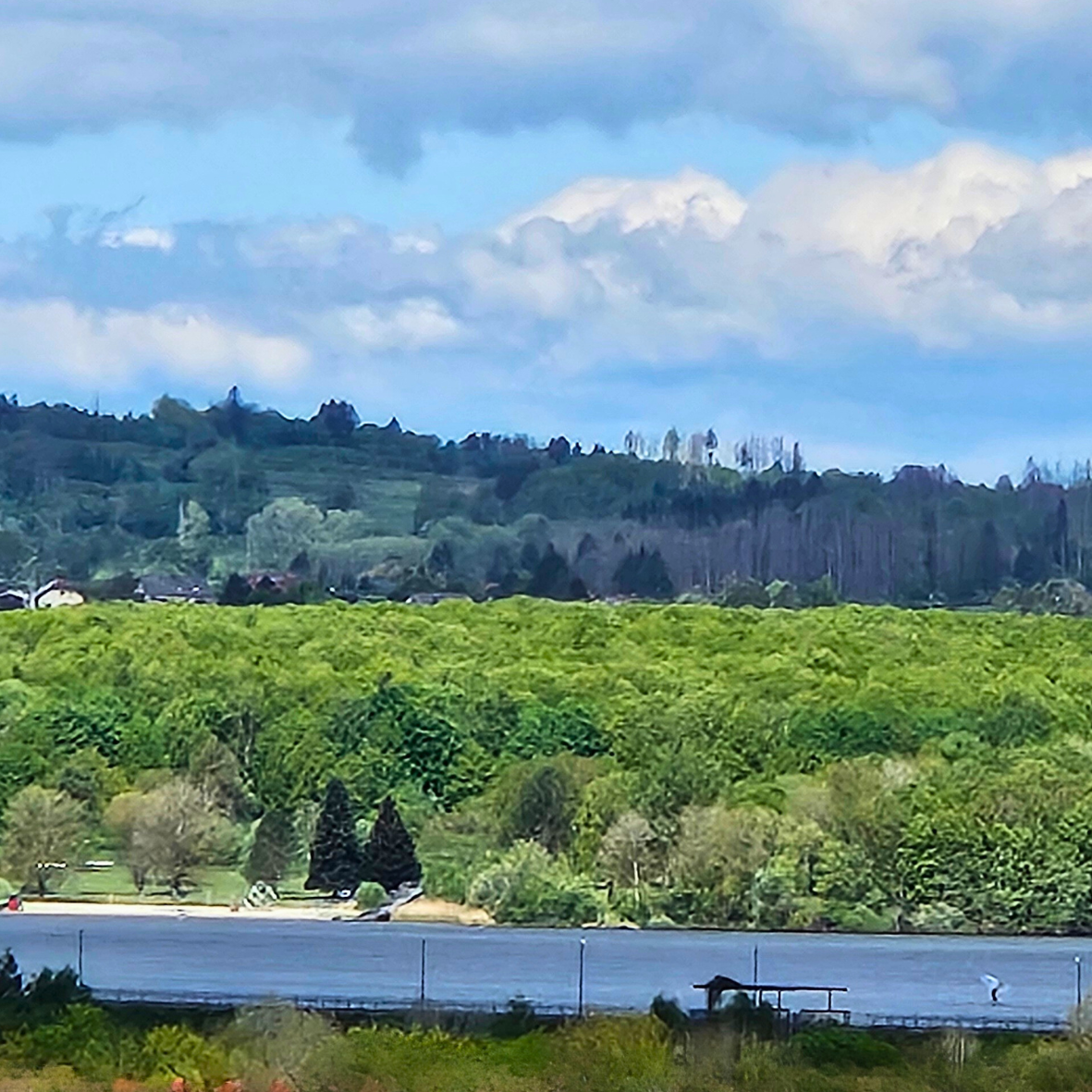 Blick vom Hausberg Hahnekräh auf den Bostalsee und die waldreiche Landschaft – Ruhe, Natur und Erholung in Gonnesweiler