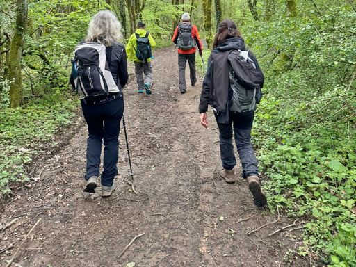 Wandergruppe auf einem Waldweg in der Nähe des Ferienhauses am Gestüt Nahetal