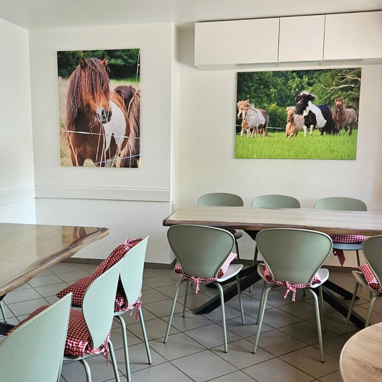 Wohnzimmer der Ferienwohnung Hahnekräh am Bostalsee mit Dauerschlafcouch Smart-TV, zwei Fernsehsesseln, tollem Ausblick