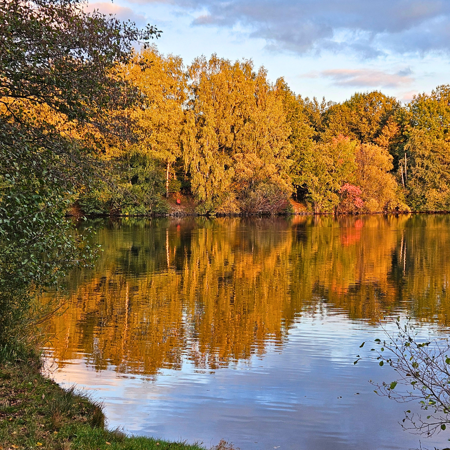 Angeln am Bostalsee in der Abendsonne: Angler beim Ansitzen am Seeufer nahe der Ferienwohnungen Schwarzhof im Saarland.