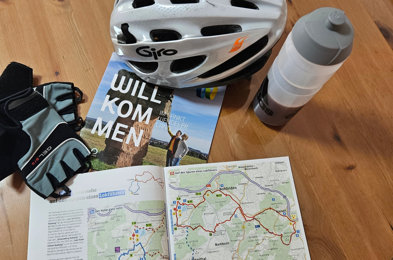 Deutsch-Langhaar-Hündin Yumi auf einem Baumstumpf mit herbstlicher Landschaft nahe den Ferienwohnungen Schwarzhof am Bostalsee