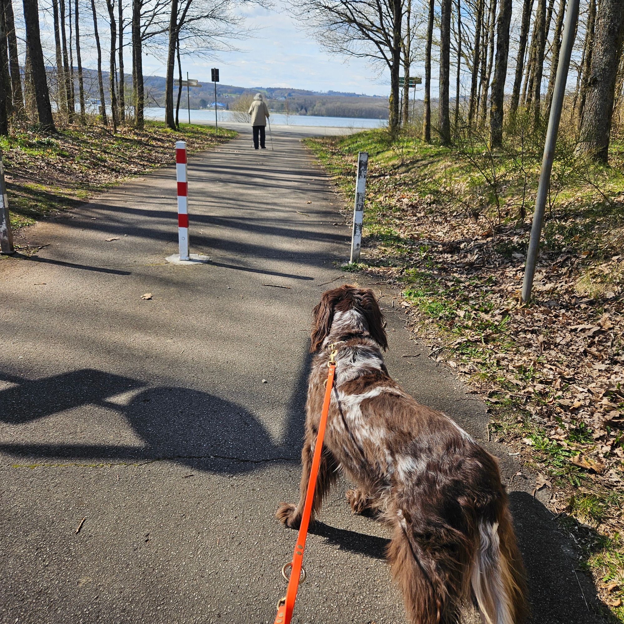 Weg zum Bostalsee über die Seestraße in Gonnesweiler nahe Ferienwohnungen Schwarzhof
