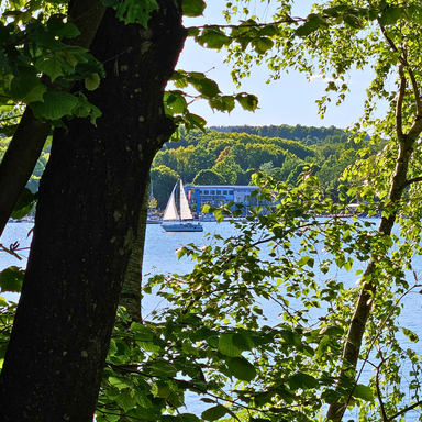 Ferienwohnungen Schwarzhof Bostalsee – Segelboot auf dem See, Blick durch frisches grünes Blätterwerk, Natur und Freizeit direkt vor Ort